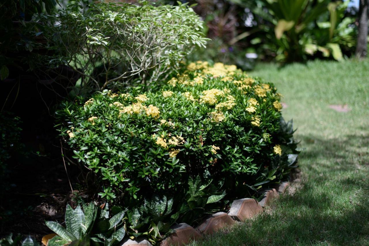 Baan Kratom Tong By The Sea Villa Cha-Am Exterior foto